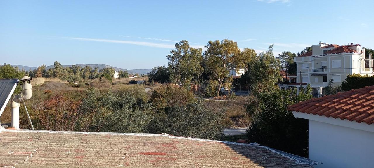 Elizas house Nea Makri Exterior foto