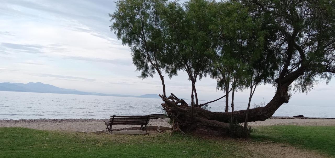 Elizas house Nea Makri Exterior foto